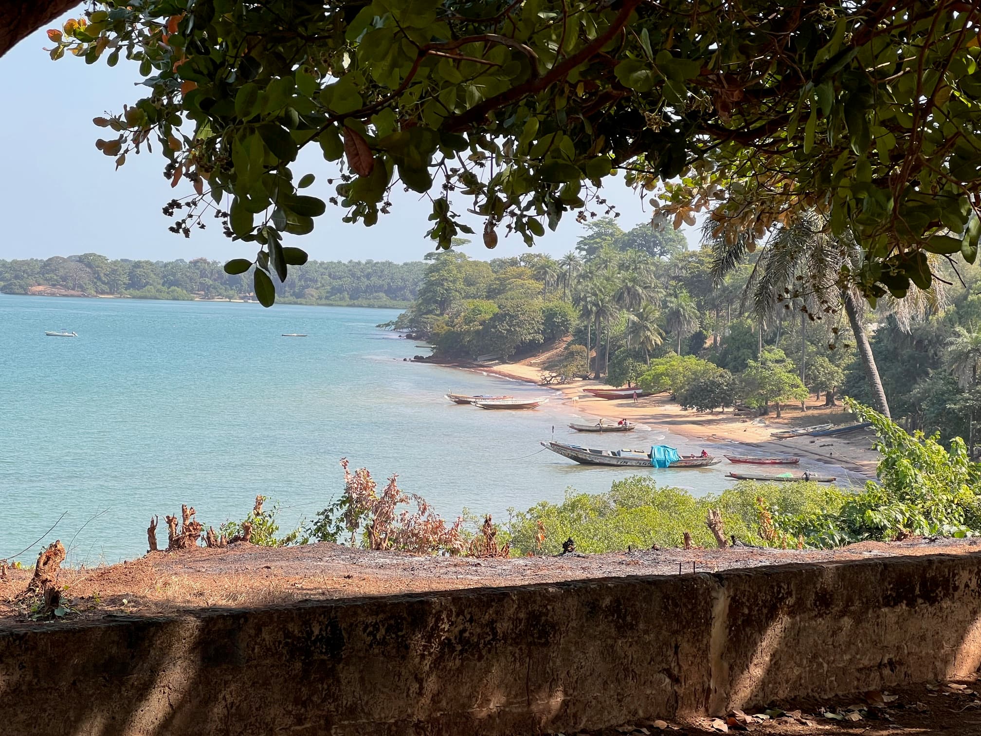 View of background 0